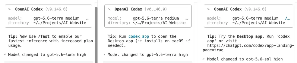 Three Codex terminal panes, each showing the model changed to a GPT 5.6 model at high reasoning effort