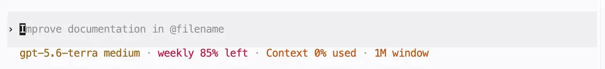 Codex status line showing gpt-5.6-terra at medium effort with a 1M token context window